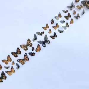 Transfer foil butterfly fbb75