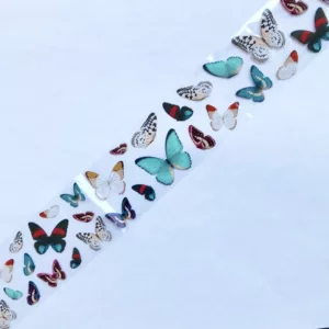 Transfer foil- butterfly fbb81