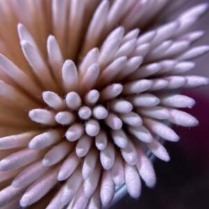 Disposable Micro Cotton Swabs 100pcs - Image 2