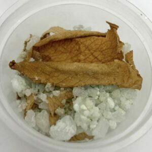 Pedi Salt 6 pack