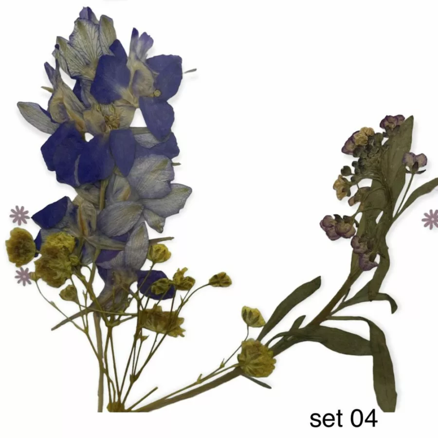 #04 Dried Flowers Set