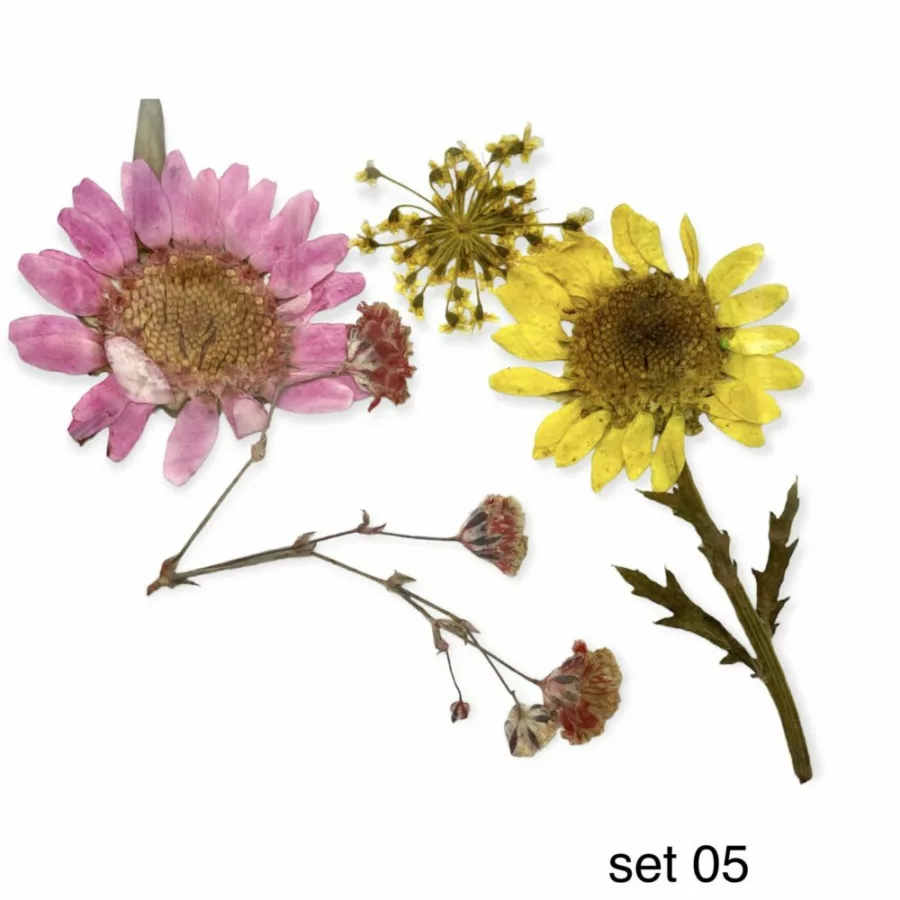 #05 Dried Flowers Set