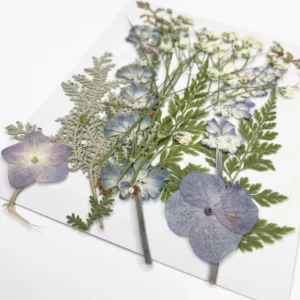 #01 Dried Flowers Sheet - Image 2